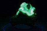 Extremely Fluorescent Hyalite Opal on Feldspar - Nambia #287103-1